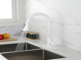 Kitchen Faucet with Pull Out Spraye 61000236