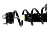 Front Pair Complete Struts Assembly w/coil springs Fits 2008-2011 Ford Focus 86016004