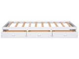 Twin Size Platform Storage Bed with 3 Drawers,White WF193634AAK