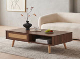 41.3 Inch Rattan Coffee Table Sliding Storage Door, Rectangle Wooden Accent Center Sofa Table 42218125