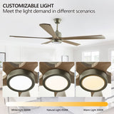 60" Modern Wood Fan with Light and Remote Control,6-Speed Noiseless Reversible DC Motor, W1340P184910