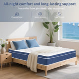 Queen Size Mattress in a Box 14 Inch Memory Foam Hybrid Mattress with Pocketed Springs Medium Firm 56559098