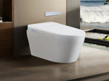 Tankless Smart Toilet With Bidet Built In, One-piece Bidet Toilet Seat, Auto Flush,Heated Seat, Warm T5879P506526