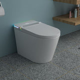 ZNTS Smart Toilet with Bidet Built in, Auto Open & Close, Elongated Heated seat, Foot Sensor Flush, LED W1243P203359