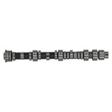 Front Camshaft fit for Honda Odyssey Pilot 3.5L V6 14100RGWA10 14100RGWA11 Steel 87751477