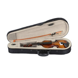 ZNTS New 1/8 Acoustic Violin Case Bow Rosin Natural 42430893