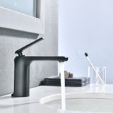 Single Hole Bathroom Faucet in Matte Black W105965435