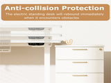 White 55" Electric Standing Desk with Dual Motors, 3 Memory Settings Sit-Stand Desk for Home Office 10820626