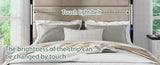 Queen Size Bed Frame with Upholstered Headboard , Queen Bed Frame with Charging Station and LED W636P195093