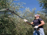 2-in-1 Cordless Pole Saw, Brushless Mini Chainsaw Cordless with Pole, 2 Pack 21500mAh Batteries 70458939