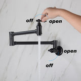 Wall Mount Folding Kitchen Pot Filler Faucet W2287P185983