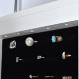 ZNTS Full Mirror Fashion Simple Jewelry Storage Cabinet With Led Light Can Be Hung On The Door Or Wall 97790042