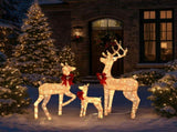 3-Piece Lighted Christmas Reindeer Set Outdoor Decorations, Weather Proof Sparkling Deer 40145997