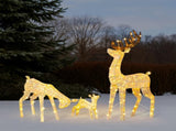 3-Piece Lighted Christmas Reindeer Family Set Outdoor Decorations, Weather Proof Deer Family Set of 49296917