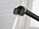 Single-Handle Pull-Out Sprayer Kitchen Faucet in Stainless Matte Black 23616223
