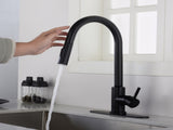 Touch Kitchen Faucet with Pull Down Sprayer-Matte Black 10505182