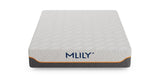 MLILY Fusion Supreme 11.5" Hybrid Luxury Mattress - King - Medium B194P269271