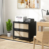 File Cabinet/ Storage cabinet 68771530