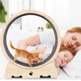Cat Exercise for Indoor Cats, Cat Running with Carpeted Runway, Cat Sport Treadmill W1655P144270