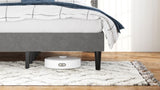 Queen Size Bed Frame with Storage Headboard, Platform Bed No Noise, Mattress Foundation Strong W2896P208861