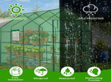 Large Walk-in Greenhouse with PE Cover & Side Windows, 12-Shelf Indoor Outdoor Portable Greenhouse 22390785