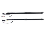 2X Tailgate Gas Struts Unit Assy Rear for Lexus NX300 NX300h 2.0L AZ10 2018-2021 68920-79017 06287096