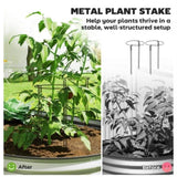Garden Bed Galvanized Planter 43825733