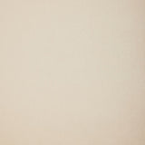 Velvet Multifunctional Storage Rectangular ottoman bench with 1 Pillow, Beige N769P186110B