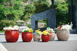 Handmade Ceramic Flower Pot Set of 3, 15/12/10 Inch Diameter, Deep Red with Floral Embossed Pattern, W3273P321489