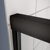 ZNTS Bypass shower door, sliding door, with 1/4" tempered glass and Matted black finish W2122131032