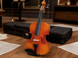 Brand new 4/4 acoustic matte tiger stripe violin set includes phonetic symbols sticker, tuner, 31801211