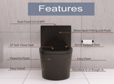 Matte Black Elongated One Piece Toilet Dual Flush 1.1/1.6 GPF Water Saving Map 1000g,Matte Black W2826P192009
