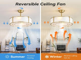 20-Inch Ceiling Fan with Ligh, DC Reversible Motor, Remote Included, Ideal for Bedroom and Living W934P512301