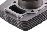 Cylinder Piston Top End Kit Set fit for Honda Rancher TRX350 12100-HN5 2000-2006 29006535