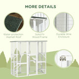 Cat House 41259623
