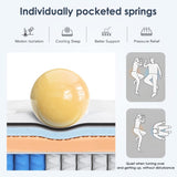 Twin Size Mattress,8 Inch Hybrid Mattress, Individually Pocketed Innerspring, Medium Firm W2889P310459