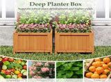 2-in-1 Wooden Raised Garden Bed with Trellis, Efficient Drainage System for Climbing Plants & 60342727