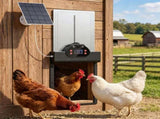 Automatic Chicken Coop Door 10666320
