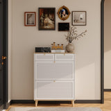 Shoe cabinet with 2 flip-up doors and 2 drawers,narrow shoe rack cabinet,freestanding shoe W3166P266365