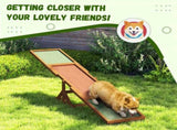 Dog Agility Ramp Pet Seesaw 02810977