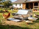 Automatic Chicken Feeder 09615396