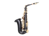 Alto Saxophone E-Flat Alto SAX Eb with 11reeds, case,carekit, Black Color 54900076