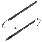 Set of 2 Rear Left and Right Tailgate Lift Support Fit for Kia Sedona Van 3.3L V6 2015-2021 Black 74844591