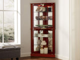 Corner Curio Dispaly Cabinet with Lights, Adjustable Tempered Glass Shelves, Mirrored W1693P171669