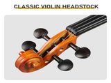 Brand new 4/4 acoustic matte tiger stripe violin set includes phonetic symbols sticker, tuner, 31801211