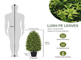 3FT Artificial Boxwood Cone Tree Faux Shrub for Outdoor Planter and Entryway Dcor 2pcs/set W2945P323221