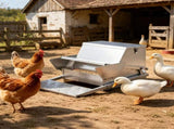 Automatic Chicken Feeder 09615396