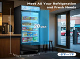 Glass Door Merchandiser Freezer 19.3 Cu.ft Swing Door Commercial Reach-In Display Freezers with LED W2095P435851
