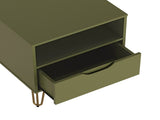 Nightstand in Olive Green B365P504358