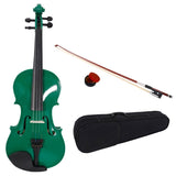 ZNTS New 4/4 Acoustic Violin Case Bow Rosin Green 31954784